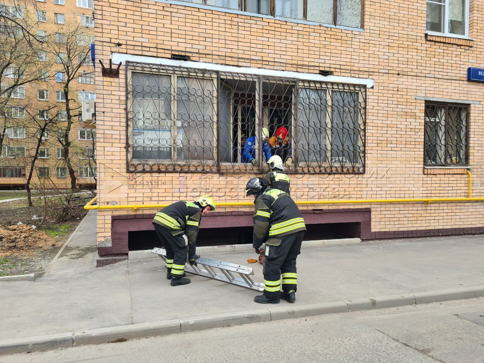 Агентство городских новостей «Москва» - Фотобанк