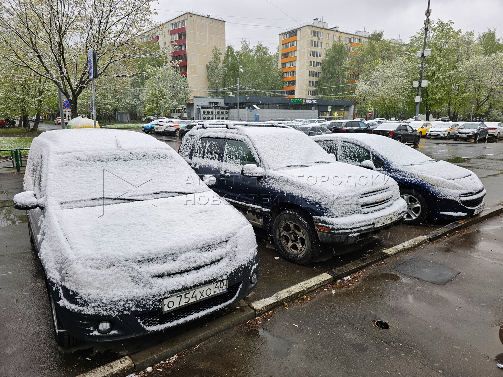 Агентство городских новостей «Москва» - Фотобанк