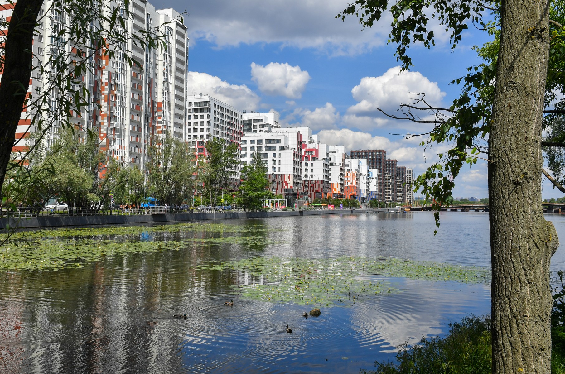 Агентство городских новостей «Москва» - Фотобанк