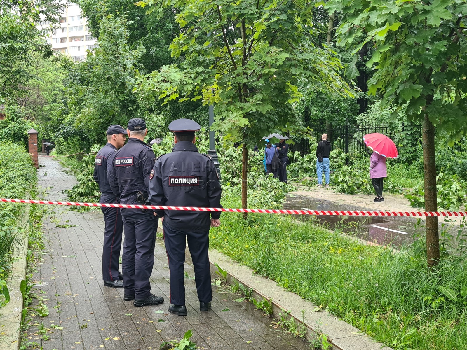 Агентство городских новостей «Москва» - Фотобанк