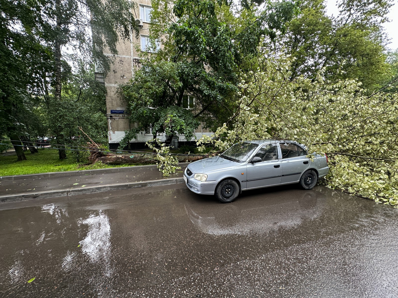 Агентство городских новостей «Москва» - Фотобанк