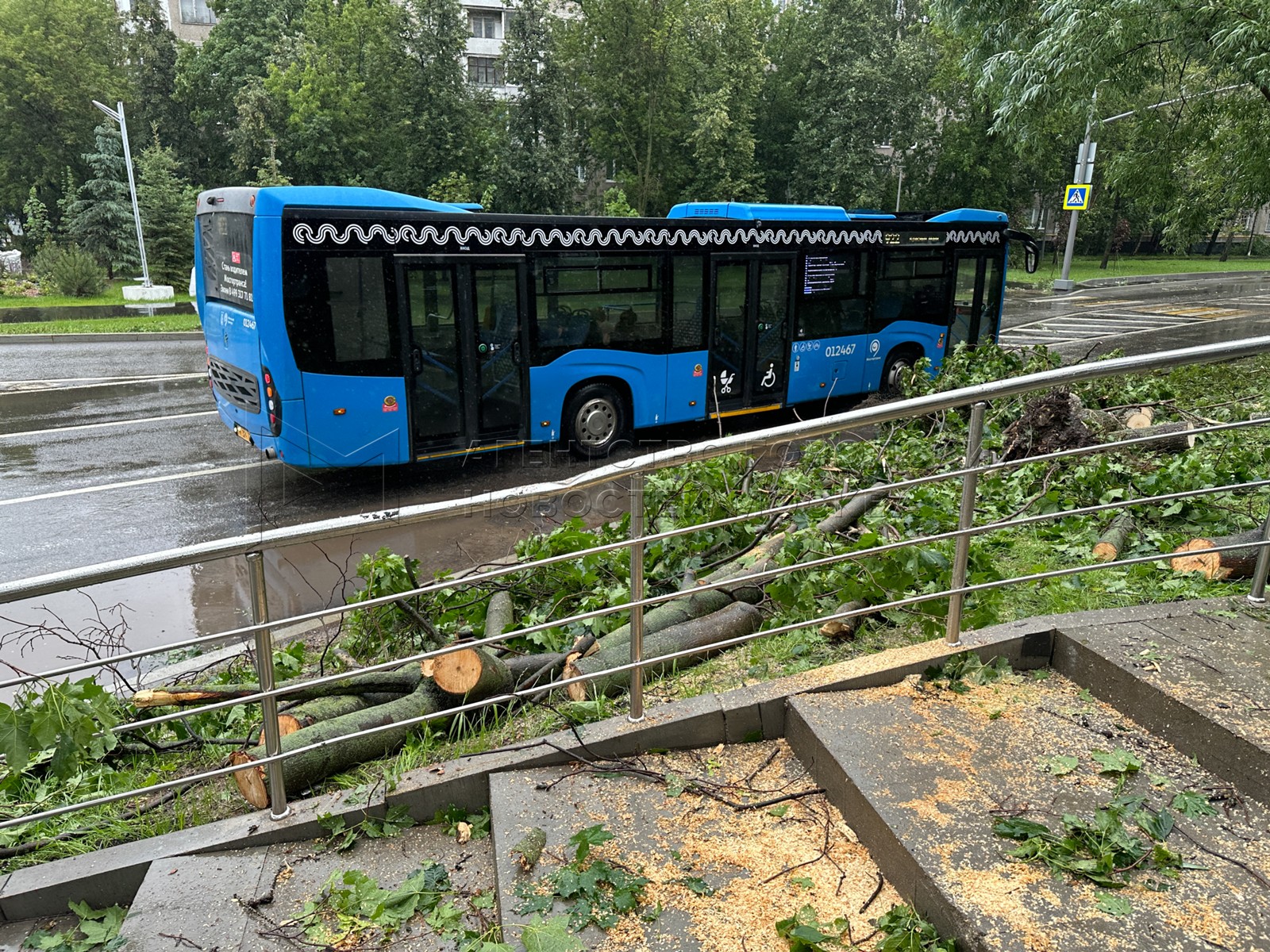 Агентство городских новостей «Москва» - Фотобанк