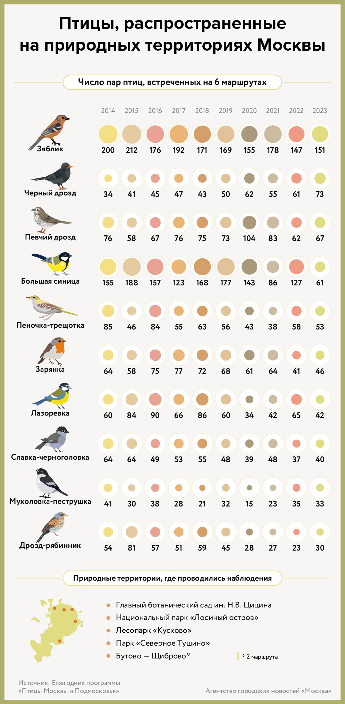 Птицы, распространенные на природных территориях Москвы - Агентство  городских новостей «Москва» - информационное агентство