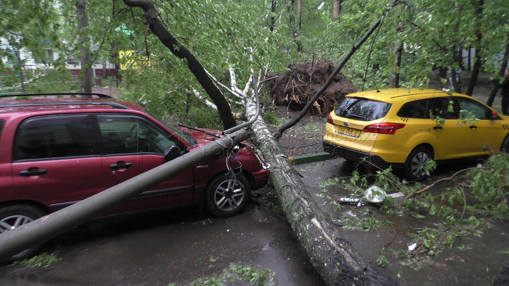 Дерево на крыше: как добиться компенсации и почему ОСАГО не поможет