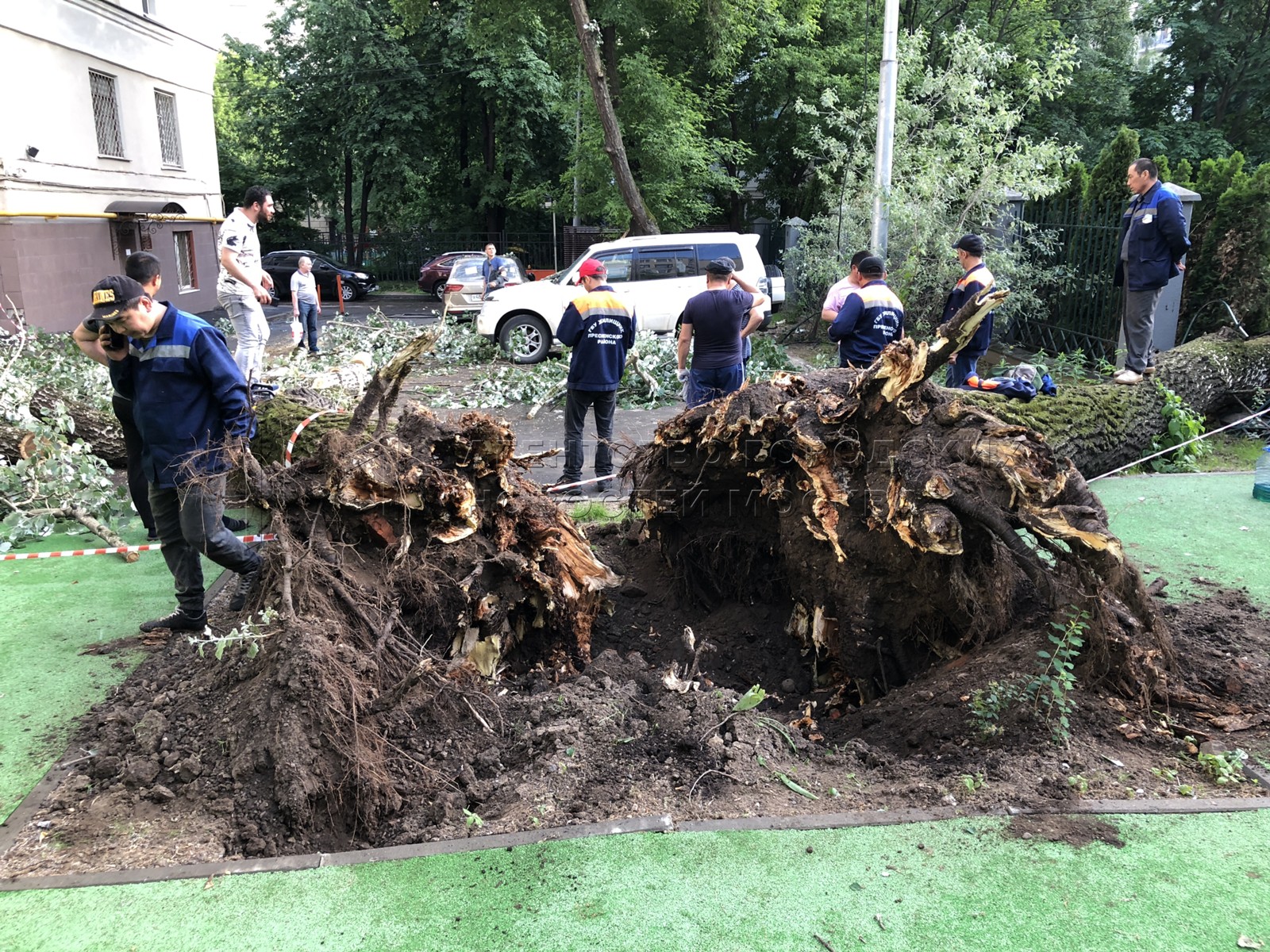 Падение дерева на автомобиль