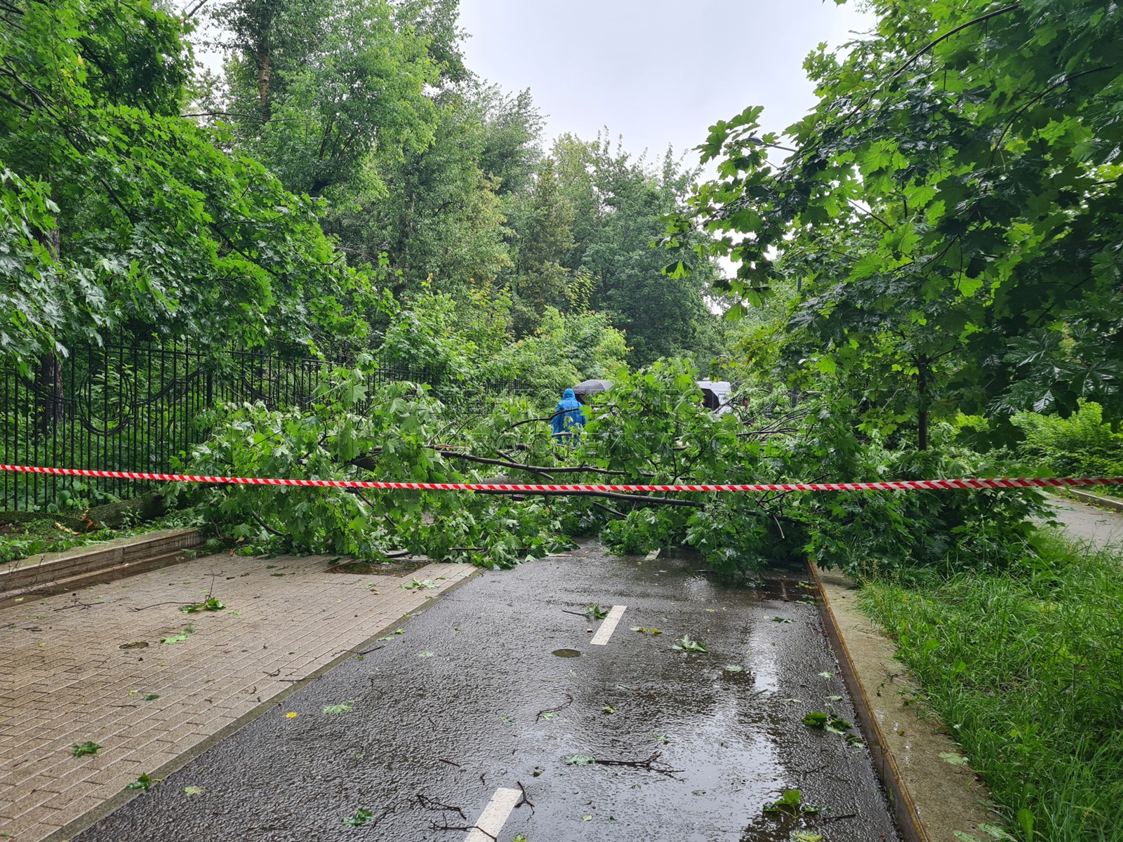 Обстановка на Ивановской улице на севере Москвы, где упавшее дерево ...